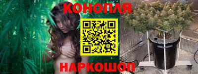 PSILOCYBIN Заводоуковск