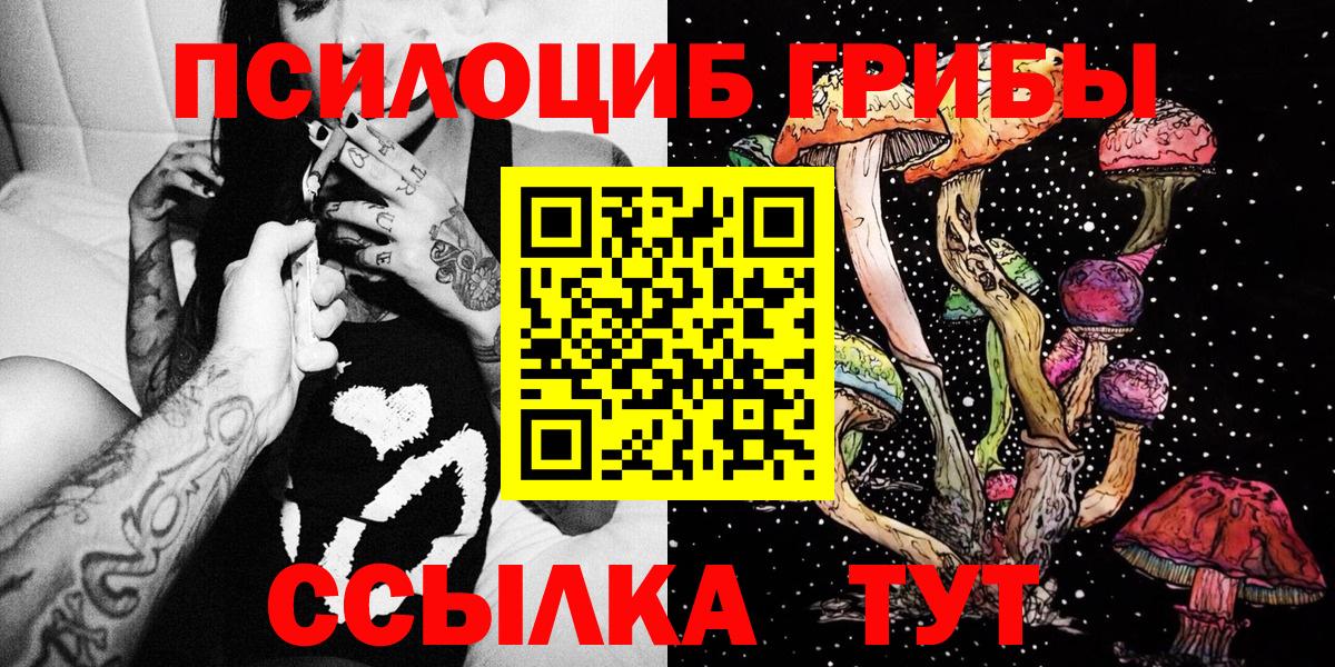 Заречный  Галлюциногенные грибы Magic Shrooms  Вход с VPN 